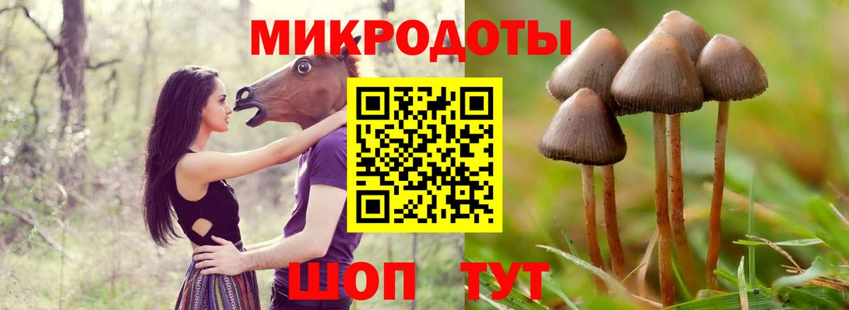Галлюциногенные грибы Cubensis Еманжелинск